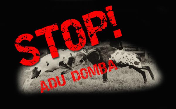 Stop Adu NDB & AP!