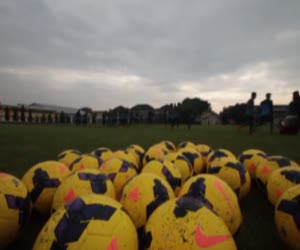 Garuda Emas Jadi Magnet