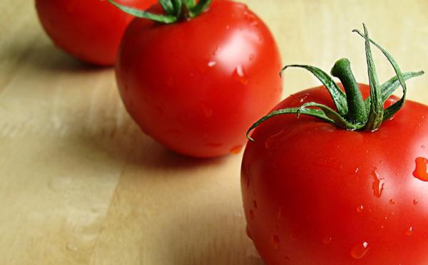 Kontrol Kolesterol dengan Tomat